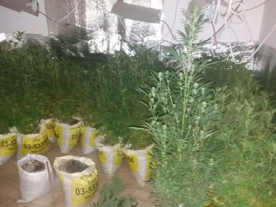 מעבדת סמים באור יהודה- צילום משטרת ישראך