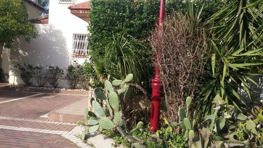 ביתו של הבכיר בעבירות מין