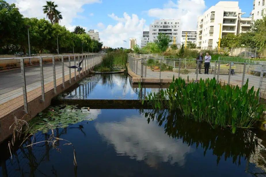 הבריכות הביולוגיות בגני תקווה. צילום דוברות גני תקווה
