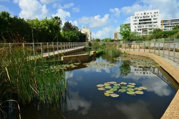 הבריכות הביולוגיות בגני תקווה