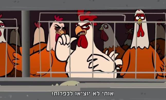 כפרות יום כיפור