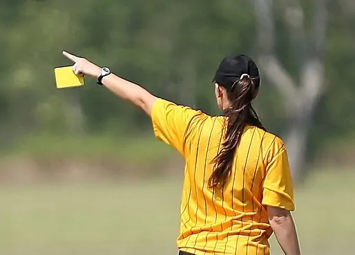 ועדות חובה בעירייה