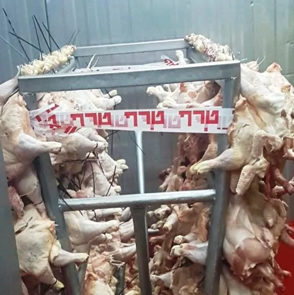 מבצע משטרתי במשחטה באור יהודה