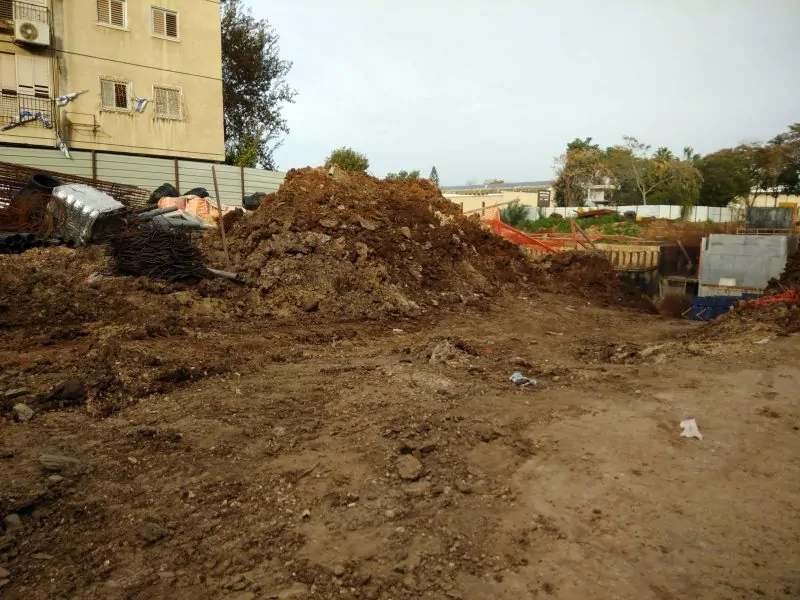 מתחם התמר מונוסון מתחם התמר מונוסון