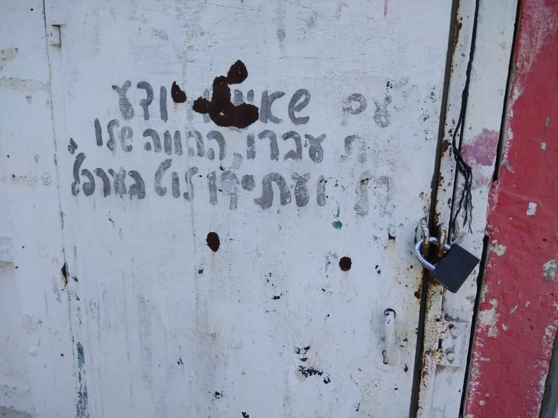 צופי יהוד