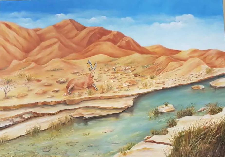 זיוה גורגני מצילומים שנעשו בטיול האחרון לנגב ומדבר יהודה (מתנ''ס יהוד)