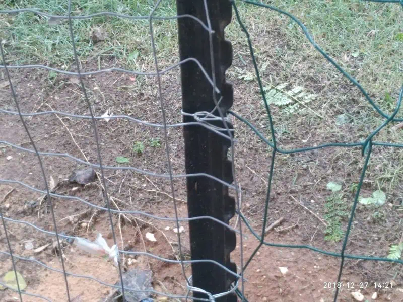 גדר המריבה בקריית אונו