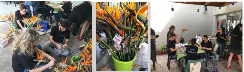מעורבות חברתית