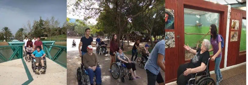 מעורבות - טיול בפארק רעננה