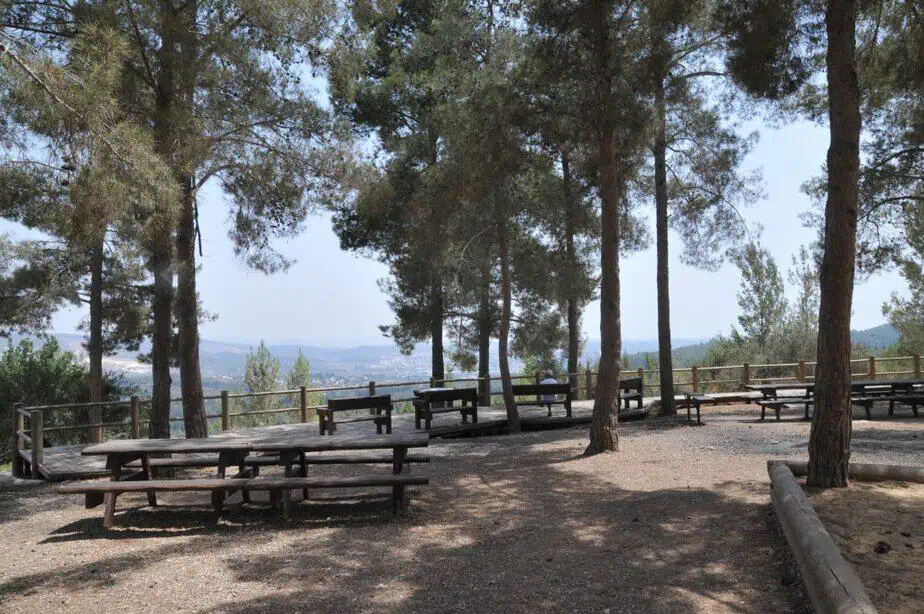 אשתאול. צילום: אבי חיון