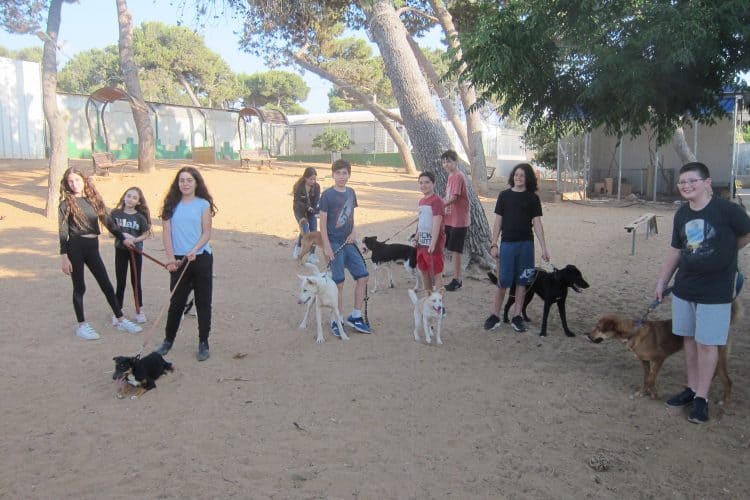 צער בעלי חיים מסביון