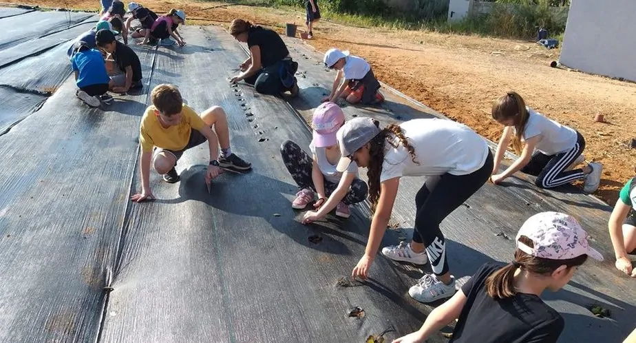תלמידי "יעקב כהן" שותלים חסה. צילום: אגף החינוךתלמידי "יעקב כהן" שותלים חסה. צילום: אגף החינוך