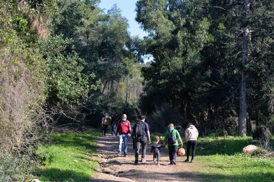 קק"ל יער_חוף_הכרמל_-_חניון_הזיתים_גיא_אסיאג_010399