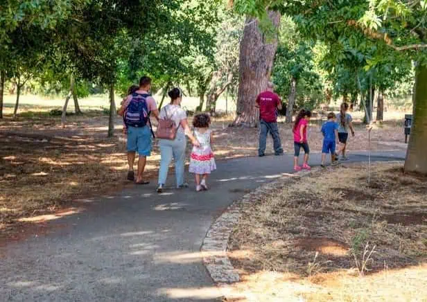 קק"ל מטיילים ביער אילנות (צילום בוני_שיינמן)