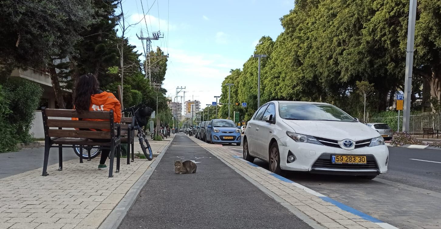 לא לשכוח את הילד ברכב. צילום: נטלי פורטי