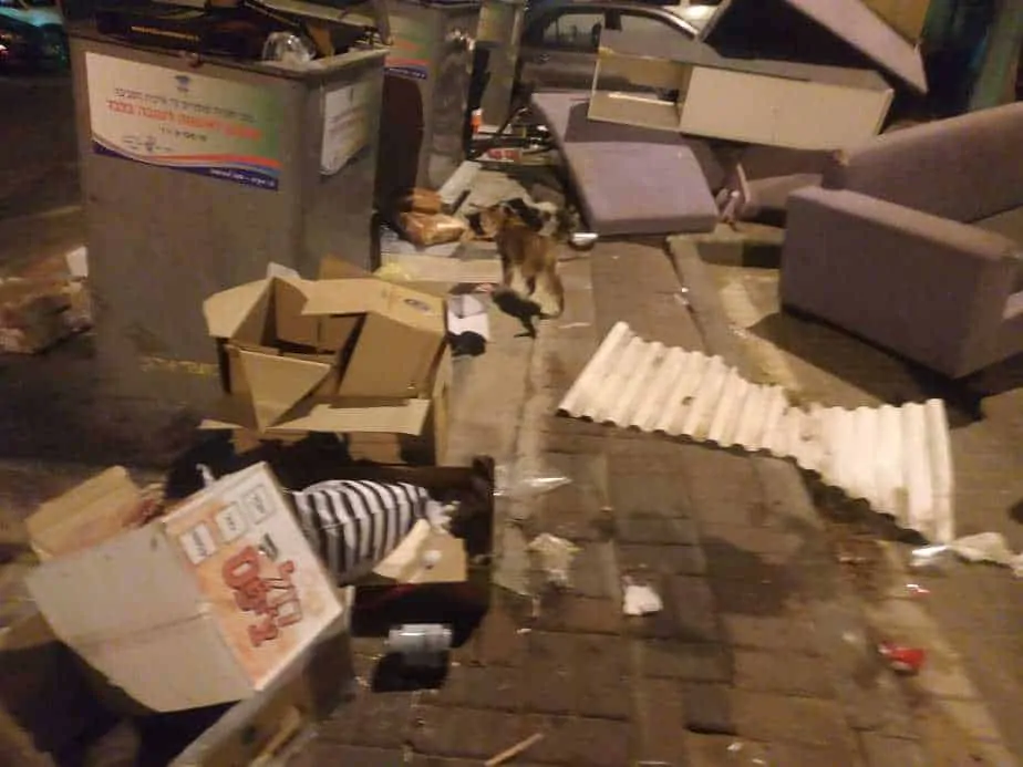 זיהום סביבתי נוף סביון (צילום פרטי)