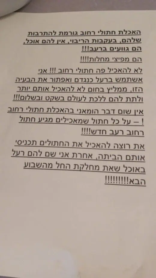 עלון מאיים (צילום פרטי)