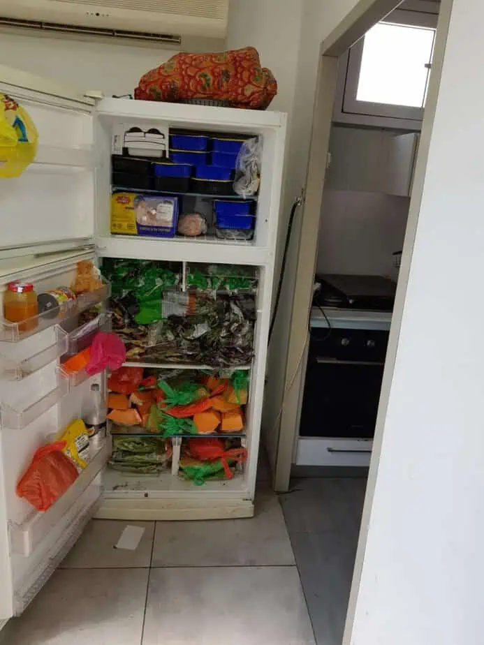 תרומות מזון לחג (צילום: בית כנסת אהבת חיים)