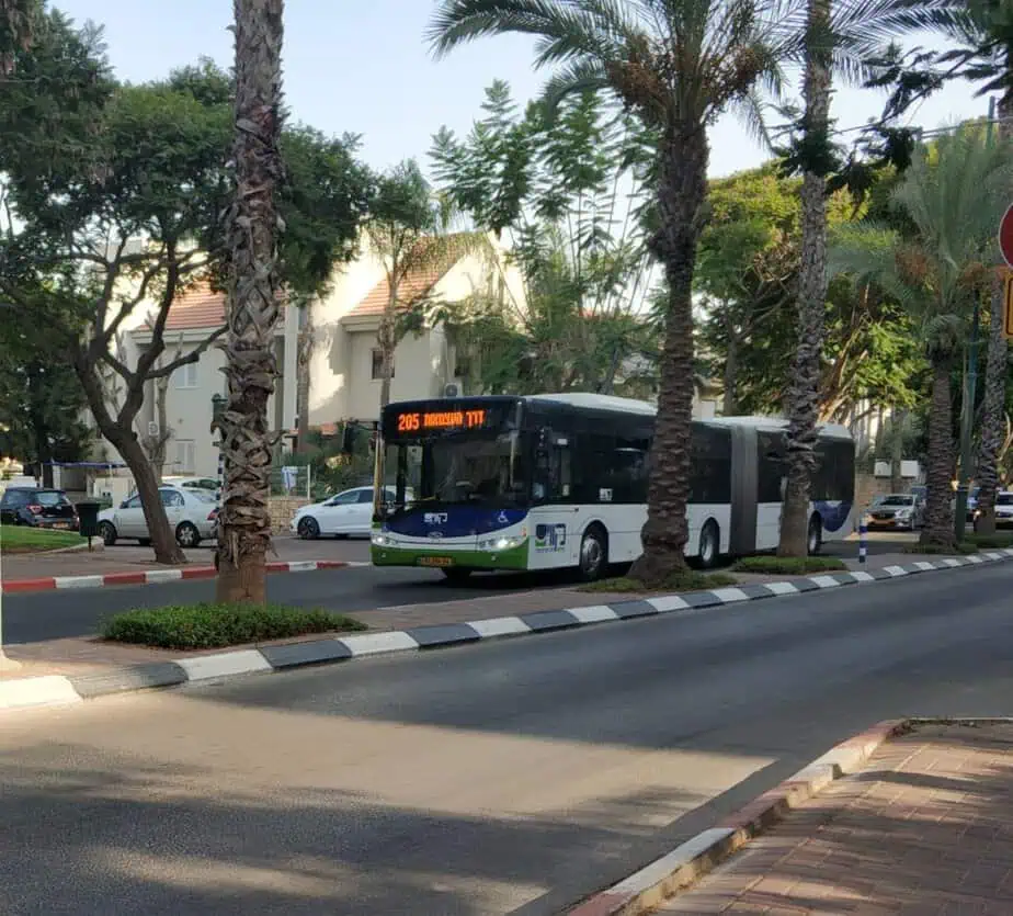 אוטובוס מפרקית קו 205 (צילום: פרטי)