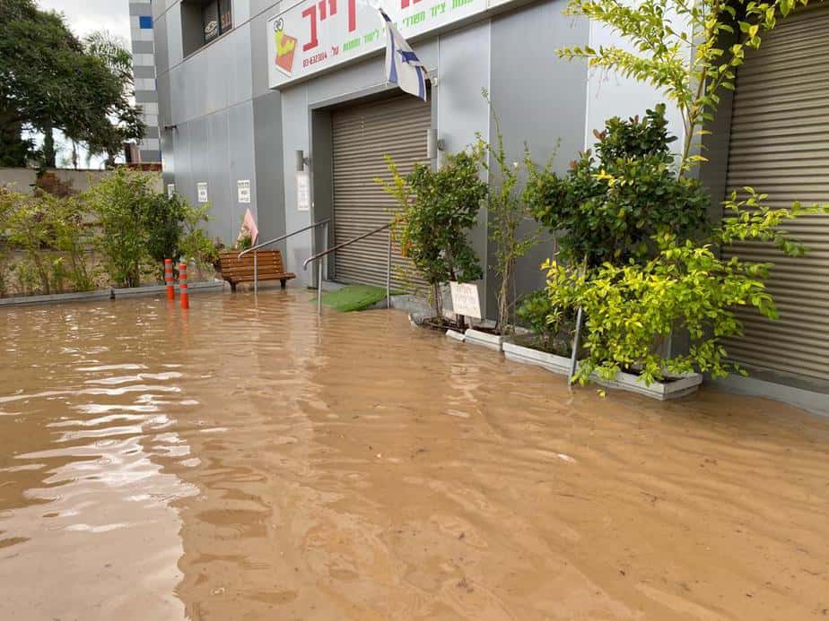 חנות ספרי דייב