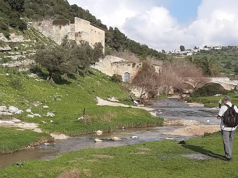 נחל ציפורי .קרדיט:ליגם פרויקטים סביבתיים