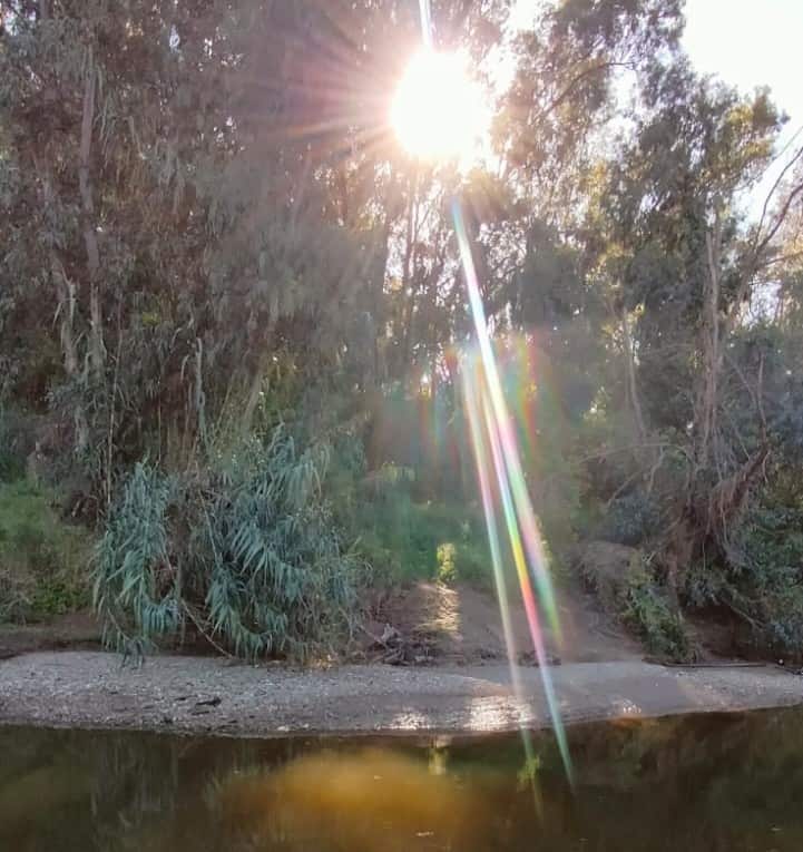 הוואדי באור יהודה (צילום איתמר לוי)