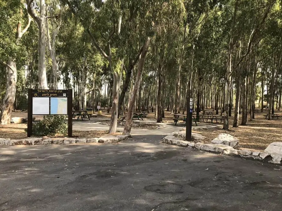 חניון לימן – בצת (צילום כאמל עליאן)