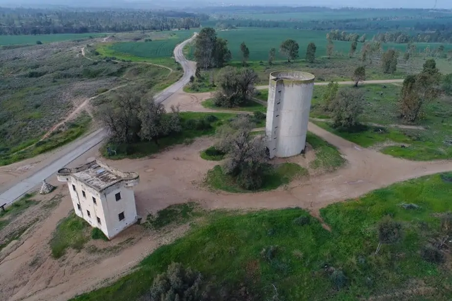 יער בארי -נחאביר (צילום כאמל עליאן)