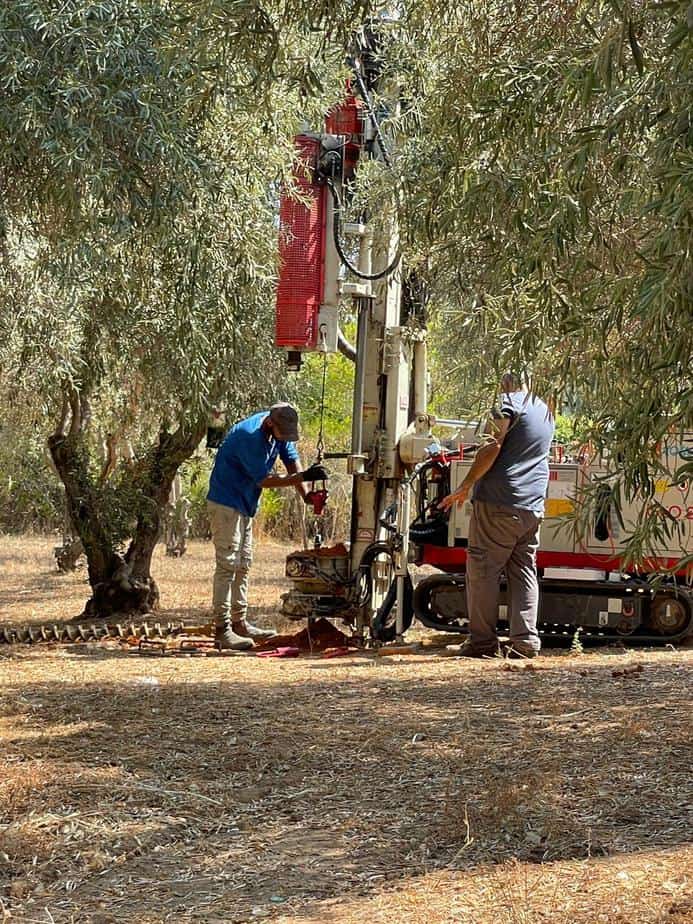 מה עושים בחורשת הזיתים? צילום: באדיבות התושבים