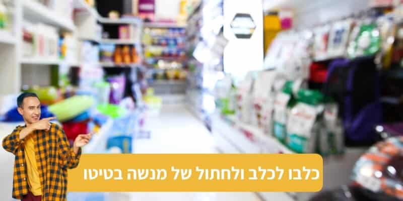 ביי פוסט. מנשה בטיטו כלבו לכלב ולחתו. אילוסטרציה canva