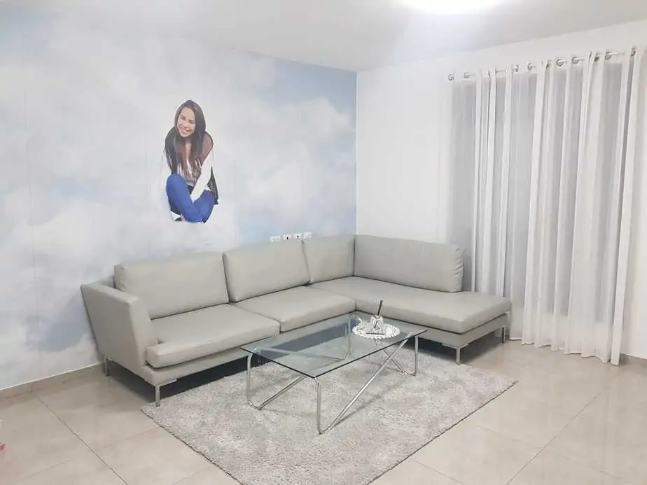 הסלון של פאני סבג. צילום: פאני סבג