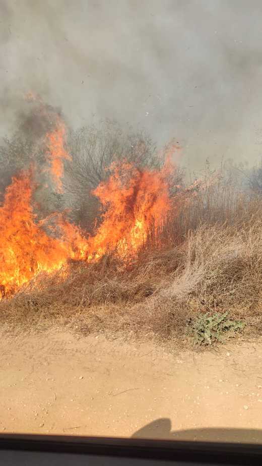 מקום השריפה בין יהוד-מונוסון לסביון. צילום: תיעוד מבצעי כבאות והצלה מחוז דן