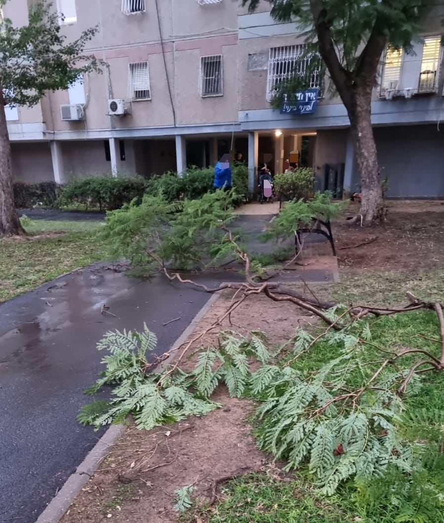 זירת האירוע בגני תקווה. צילום: תומר אסאו