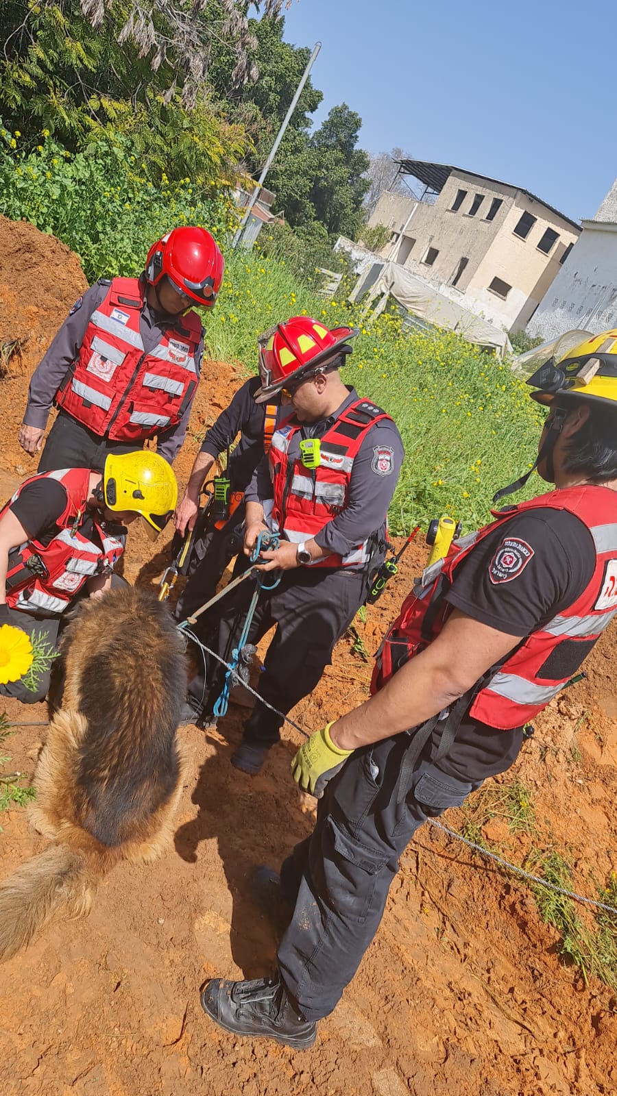 יהוד מונוסון: לוחמי האש חילצו כלב שנפל לבור ספיגה . צילום: תיעוד מבצעי, כבאות והצלה מחוז דן