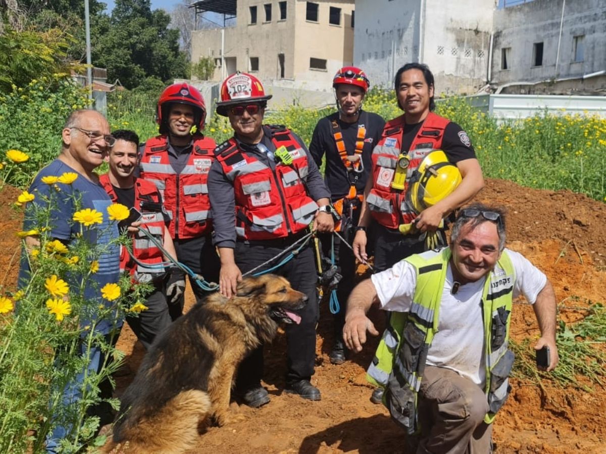 יהוד מונוסון: לוחמי האש חילצו כלב שנפל לבור ספיגה . צילום: תיעוד מבצעי, כבאות והצלה מחוז דן