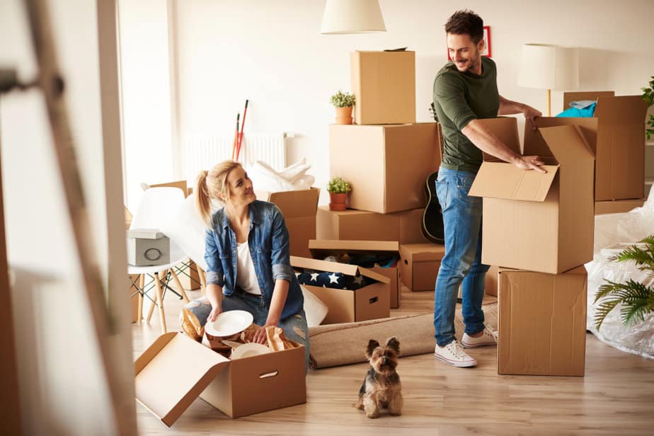 מגה לינקס צילום:freepikyoung-couple-new-apartment-with-small-dog