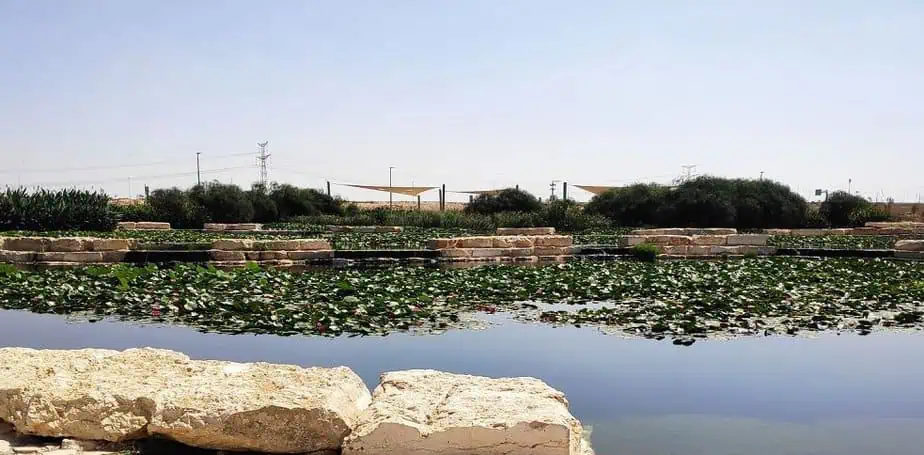פארק נחל באר שבע-. צילום: רשות מקרקעי ישראל