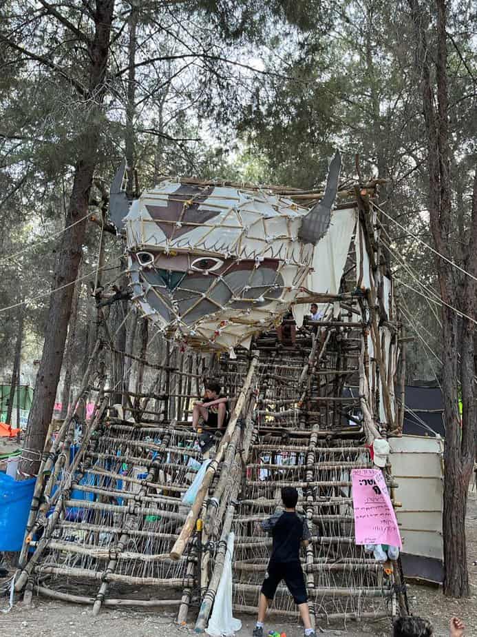 צילום: יח"צ צופים