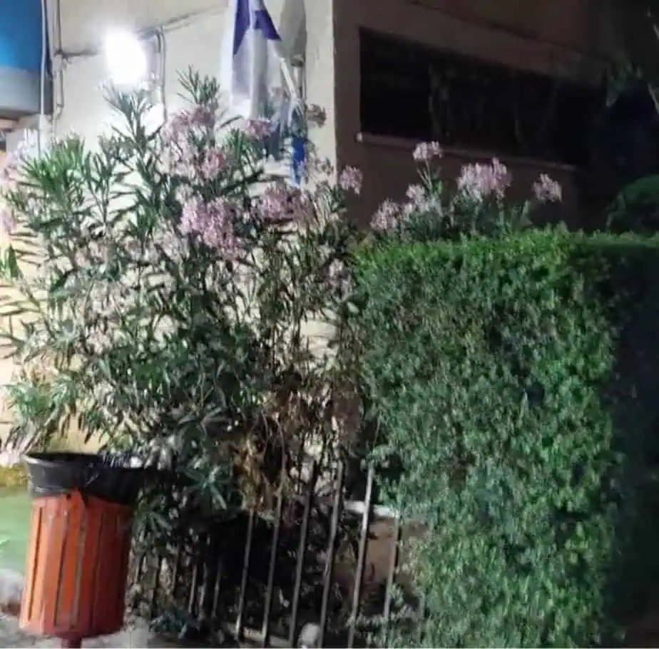 הרדוף הנחלים. צילום באדיבות המשפחה