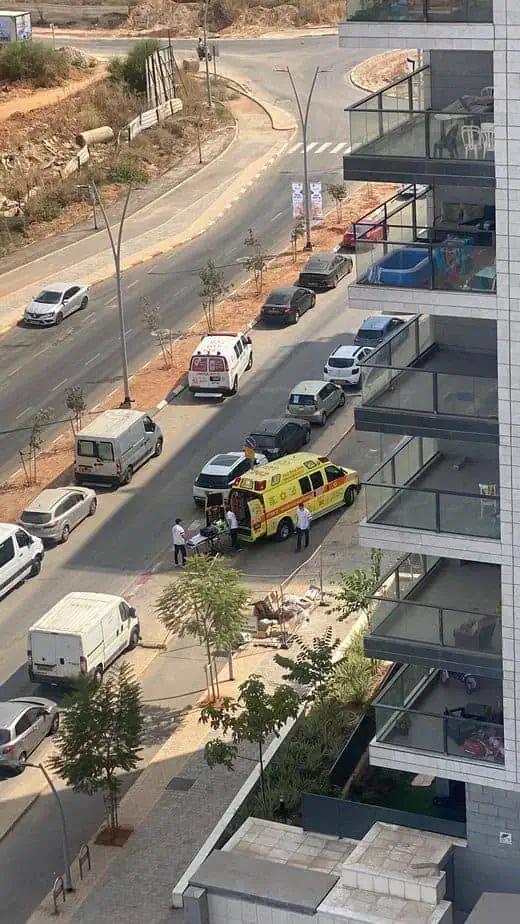 עקיצת דבורה. צילום באדיבות התושבים