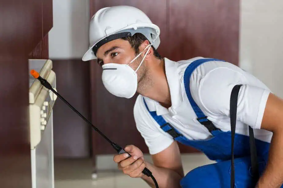 בסט לינקס קרדיט תמונה: freepikpest-worker-using-sprayer-cabinets-kitchen