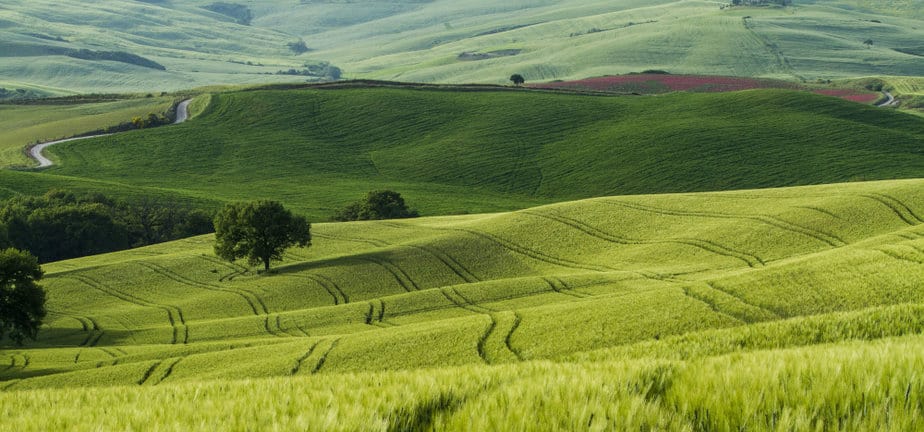 בסט לינקס צילום: freepikbeautiful-shot-green-fields-with-narrow-roads-middle (2)