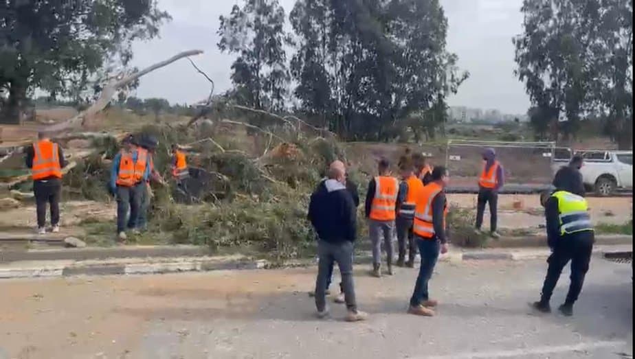 עץ קרס ופגע ברכב נוסע בקריית אונו. צילום: תיעוד מבצעי דוברות מד”א