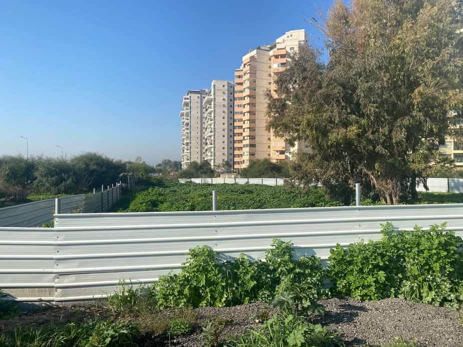 מונוסון. צילום: אונו ניוז