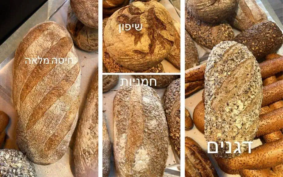 שבועות 2023 צילום באדיבות מאפיית היוצרים