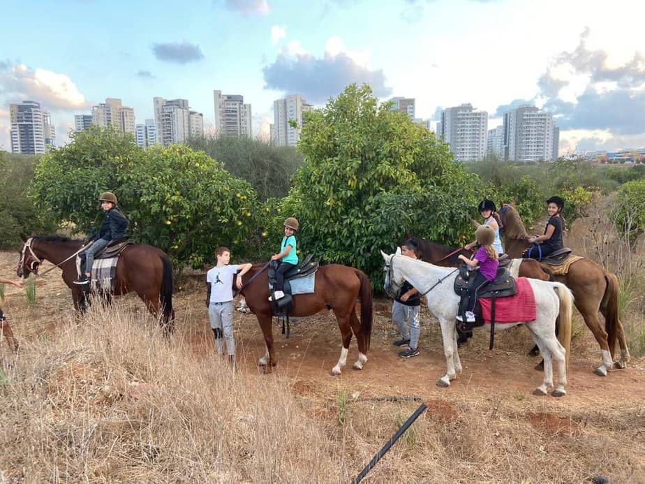 חוות הסוסים בגני תקווה. צילום באדיבות המקום