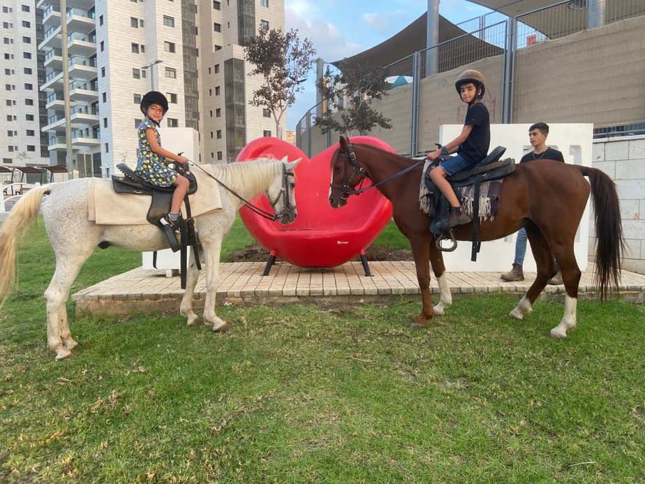 חוות הסוסים בגני תקווה. צילום באדיבות המקום