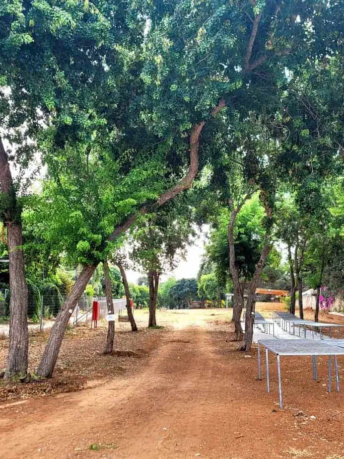 חווה חקלאית גני תקווה. צילום: יניב אנגל