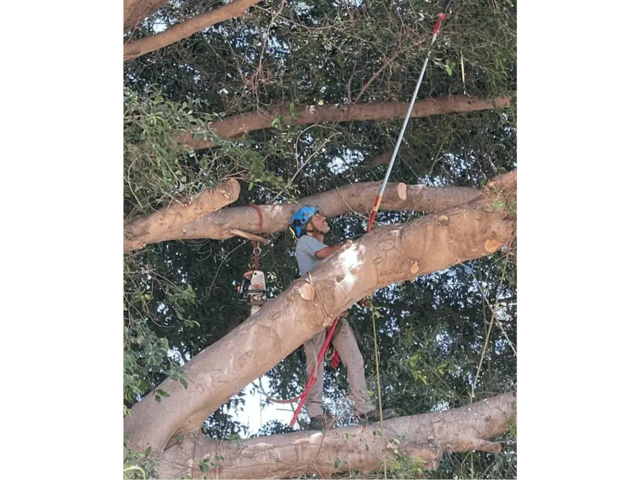 שאול לוי. צילום באדיבות שאול
