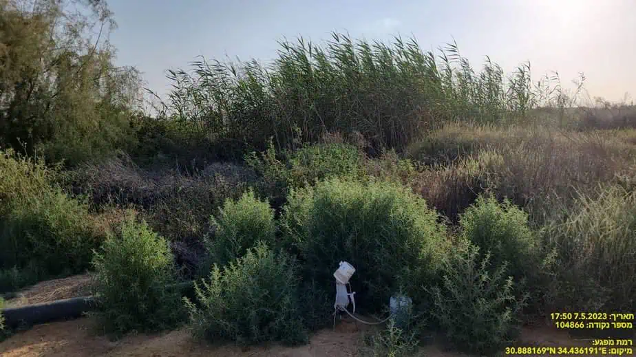 לכידת יתושים נגועים בקדחת הנילוס. צילום_ המשרד להגנת הסביבה